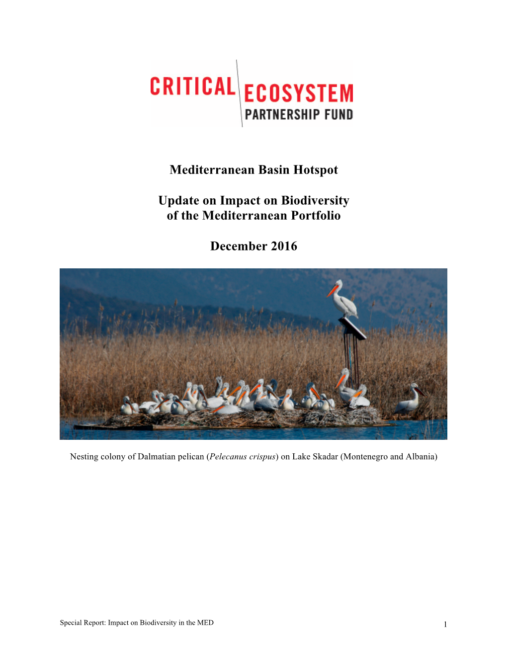 Mediterranean Basin Hotspot Update on Impact on Biodiversity of The