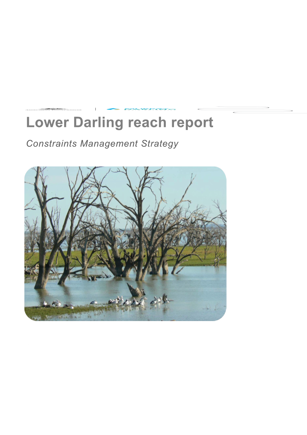 Lower Darling Reach Report: Constraints Management Strategy