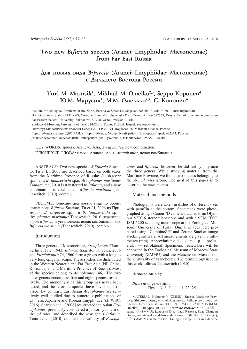 Two New Bifurcia Species (Aranei: Linyphiidae: Micronetinae) from Far East Russia