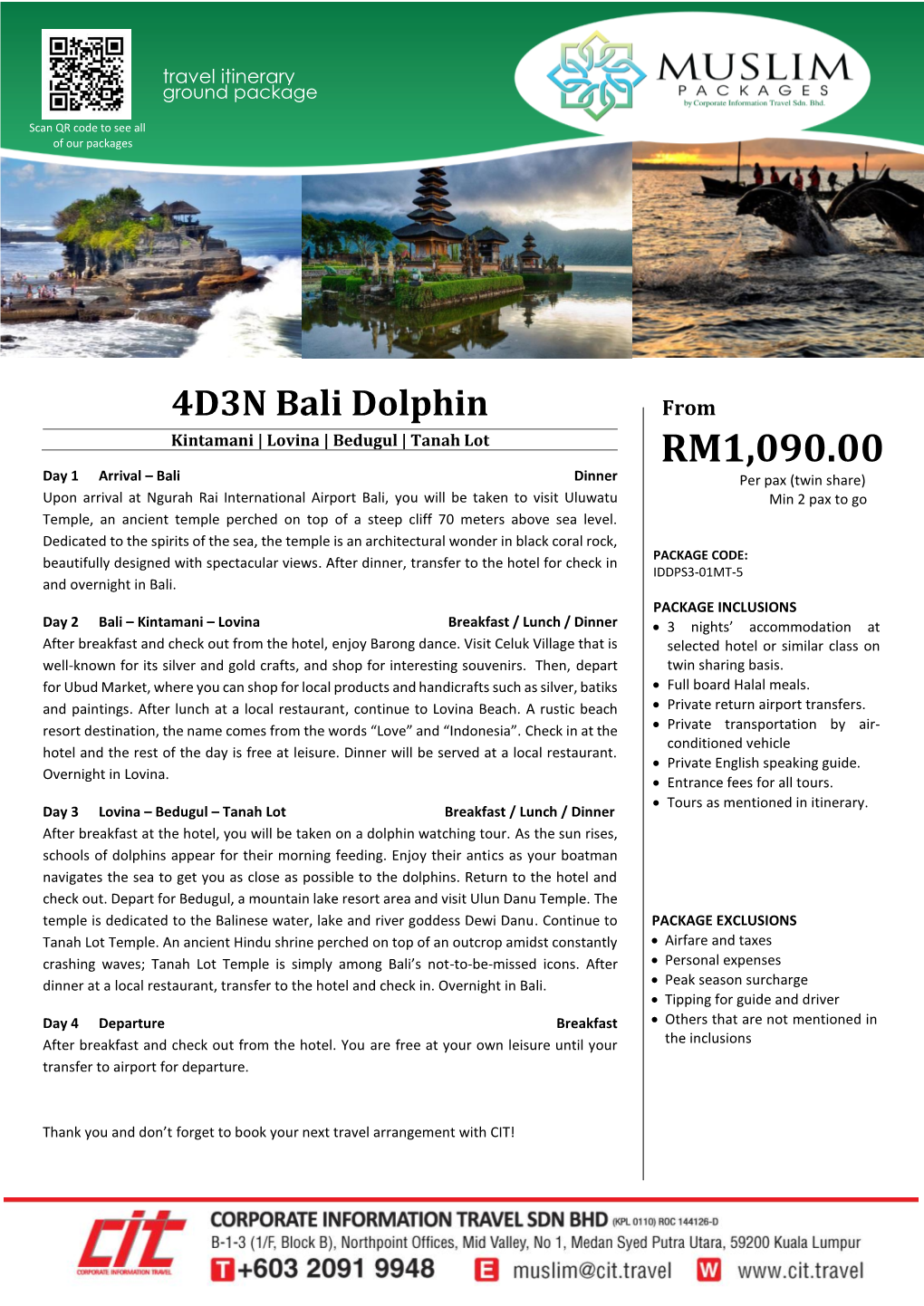 4D3N Bali Dolphin