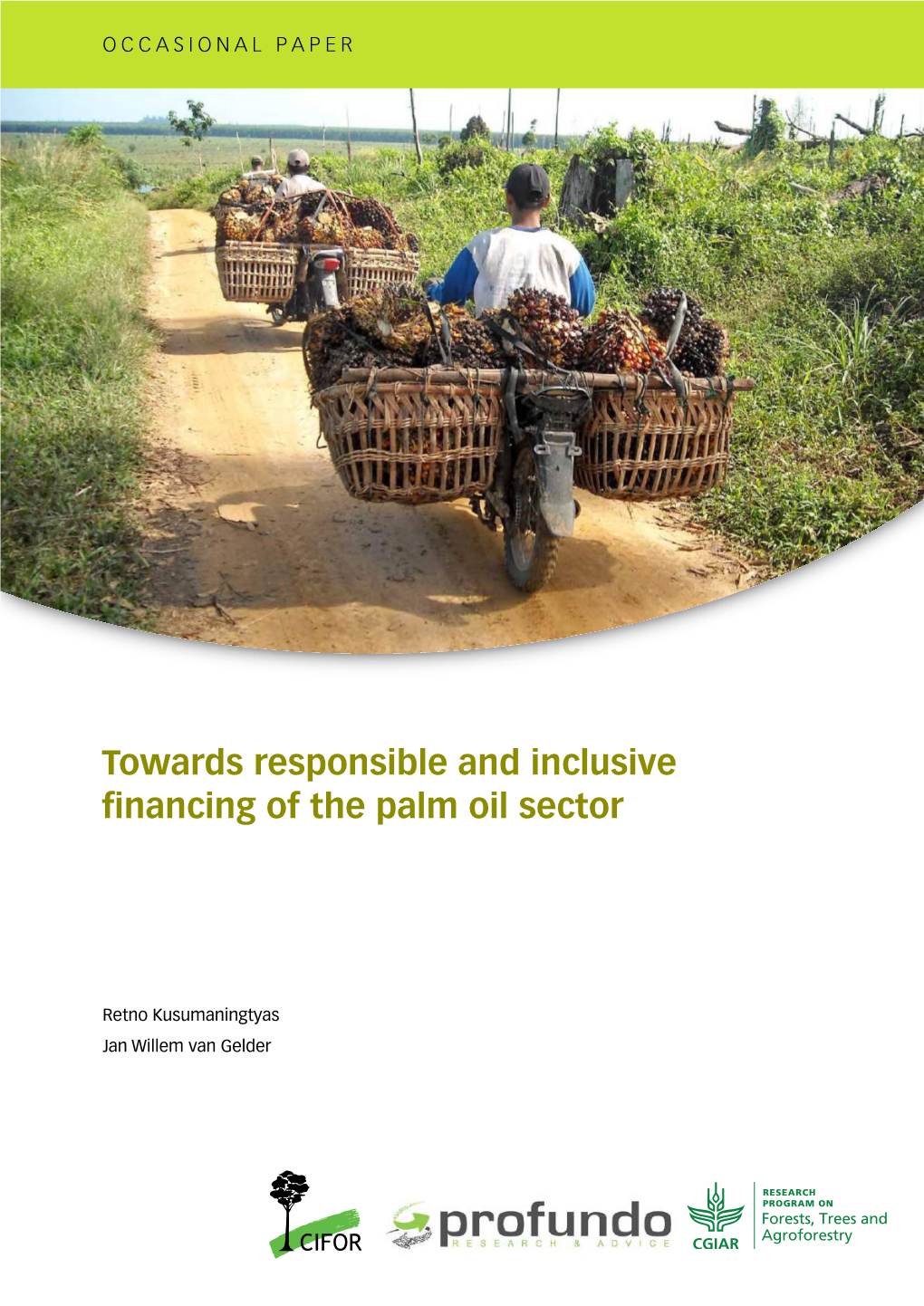 Towards Responsible and Inclusive Financing of the Palm Oil Sector