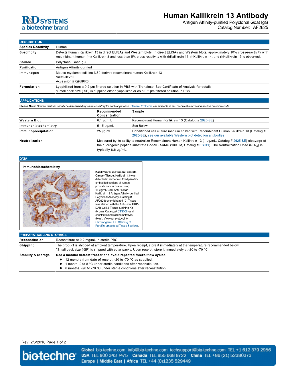 Human Kallikrein 13 Antibody Antigen Affinity-Purified Polyclonal Goat Igg Catalog Number: AF2625