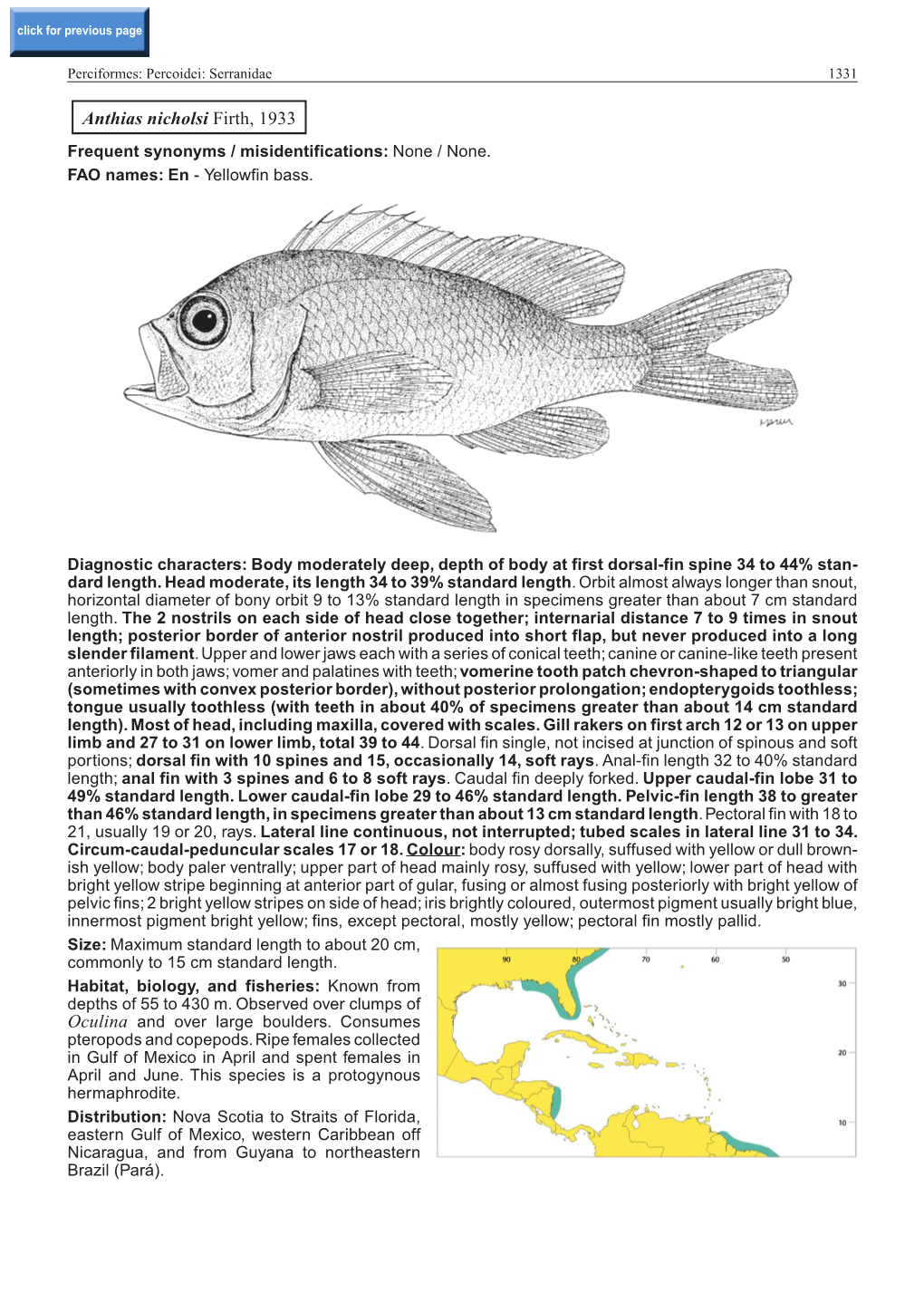 Anthias Nicholsi Firth, 1933 Frequent Synonyms / Misidentifications: None / None