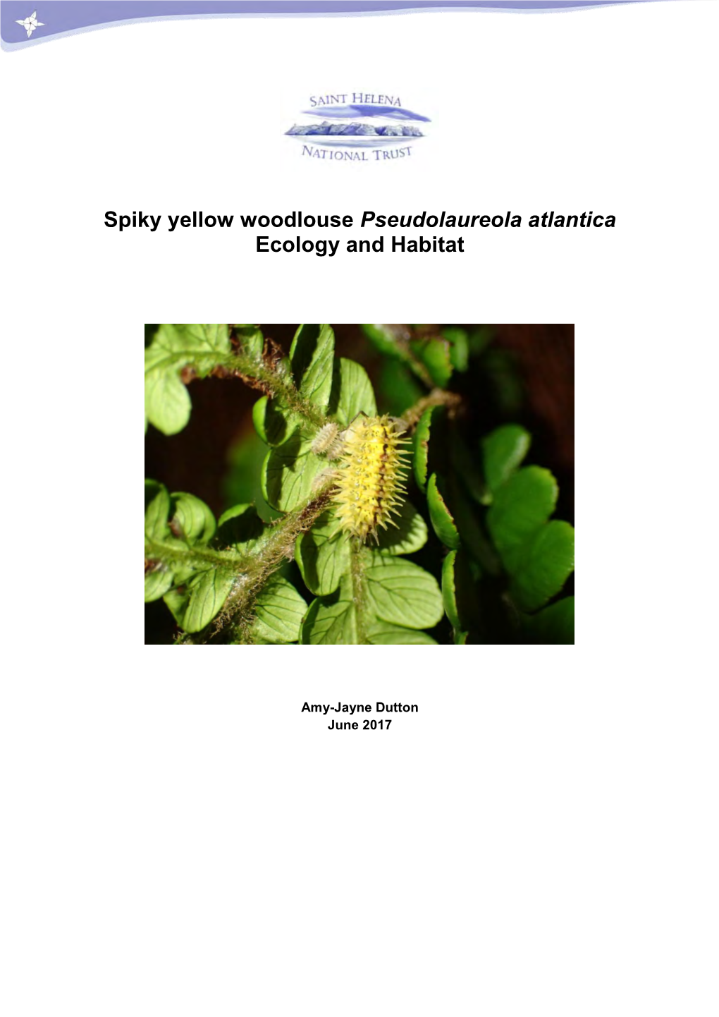 Spiky Yellow Woodlouse Pseudolaureola Atlantica Ecology and Habitat