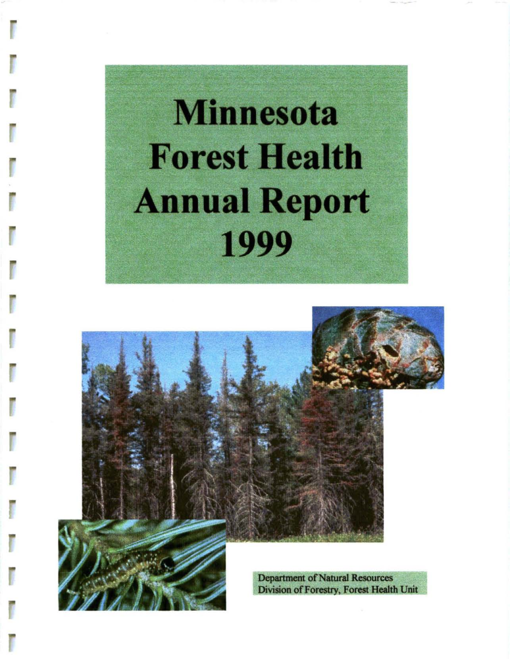Minnesota Forest Health Annual Report - 1999