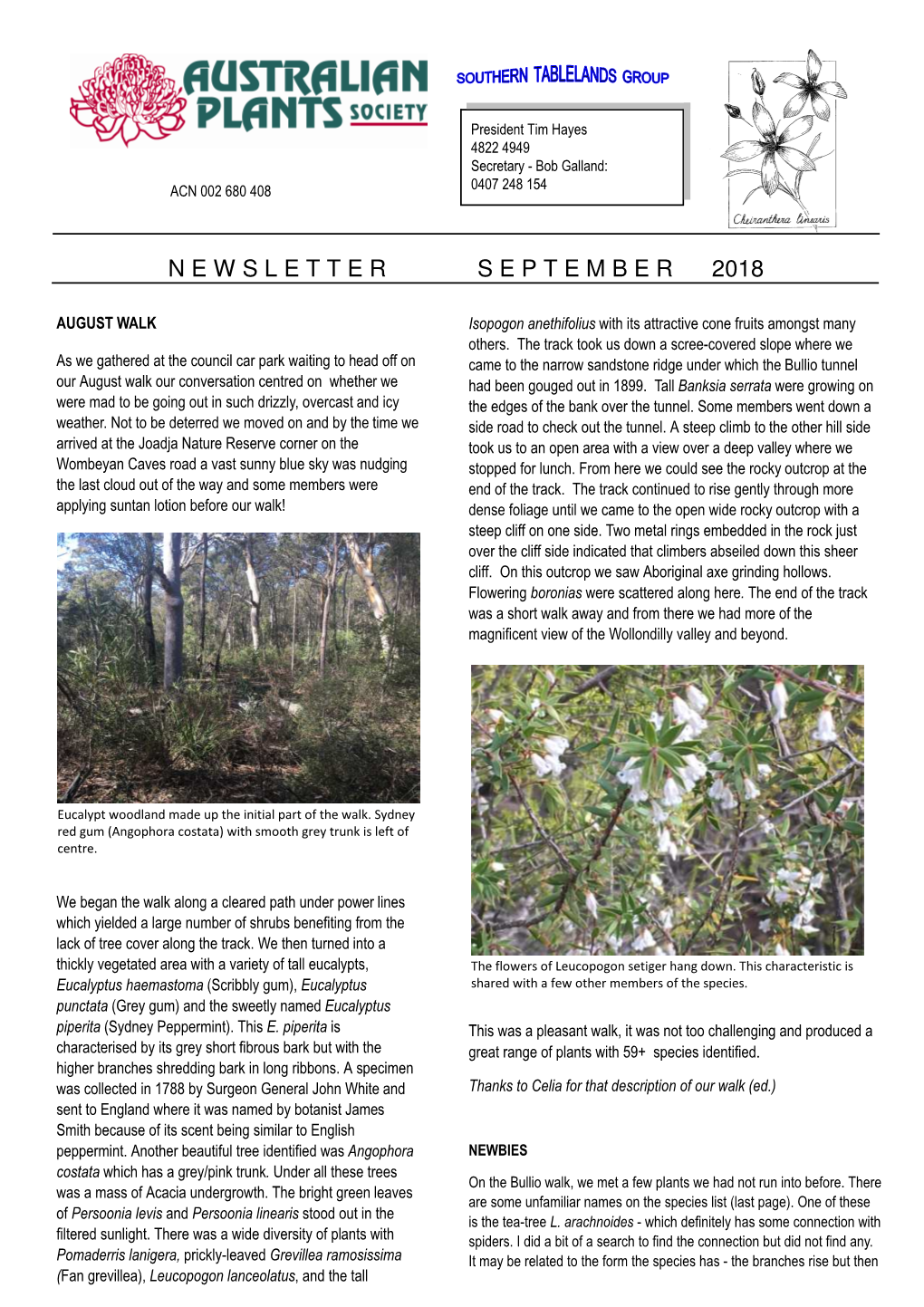 Newsletter September