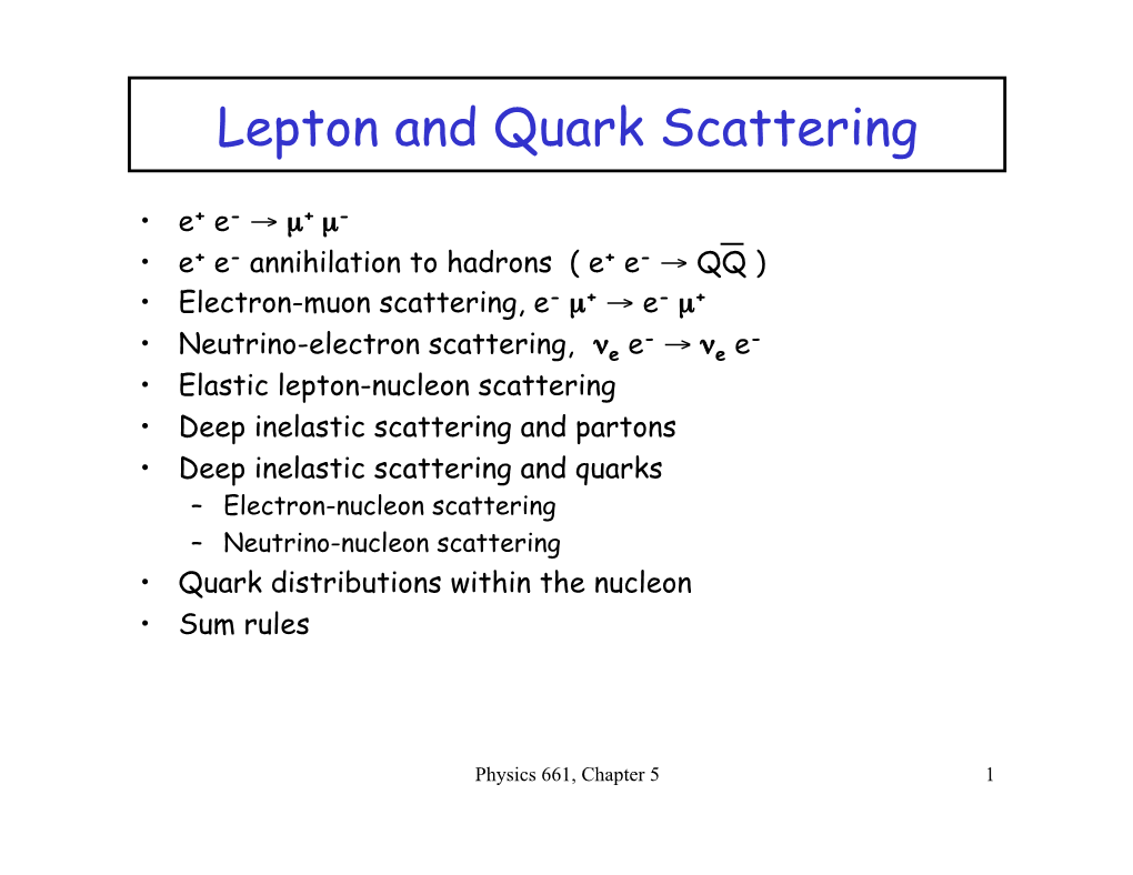 Lepton and Quark Scattering