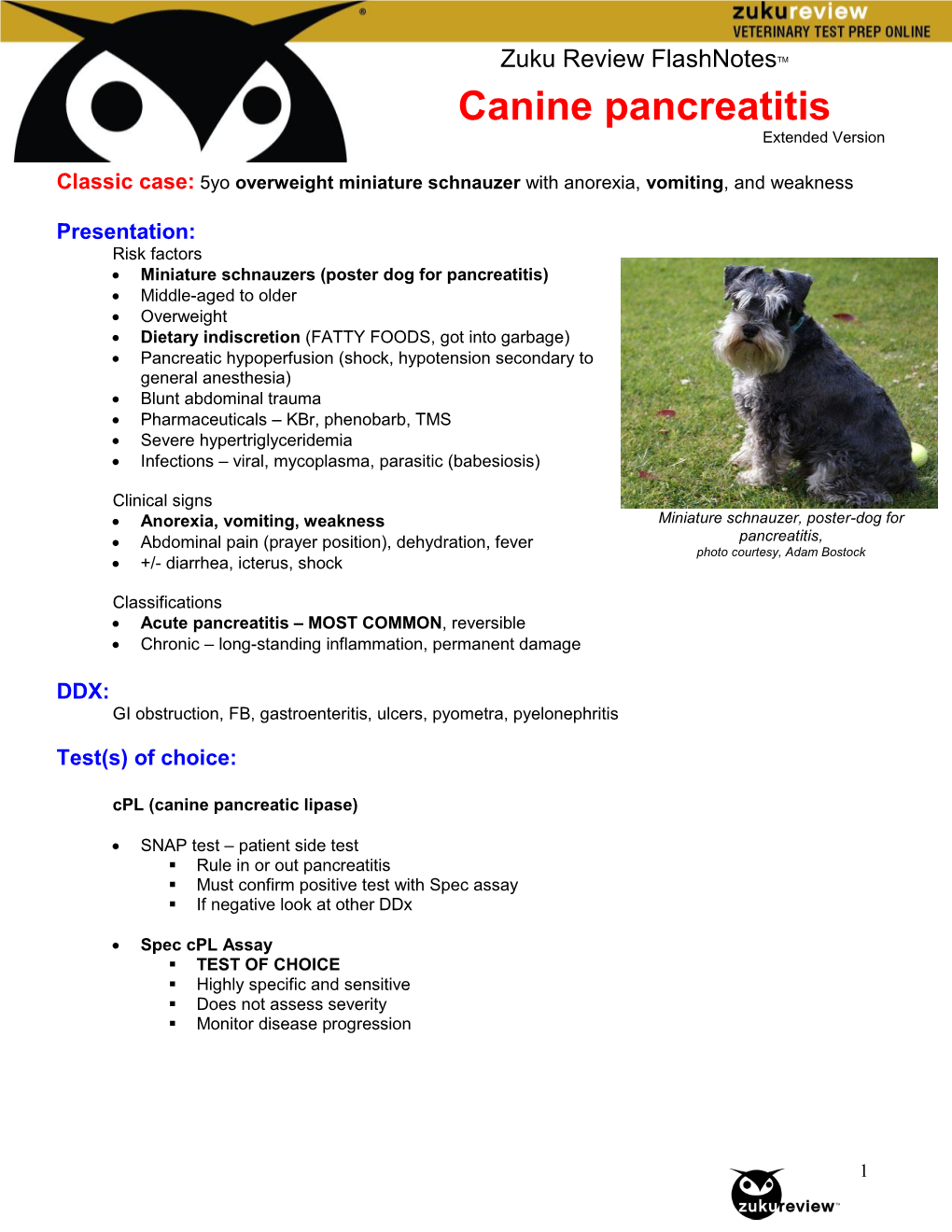 Canine Pancreatitis Extended Version