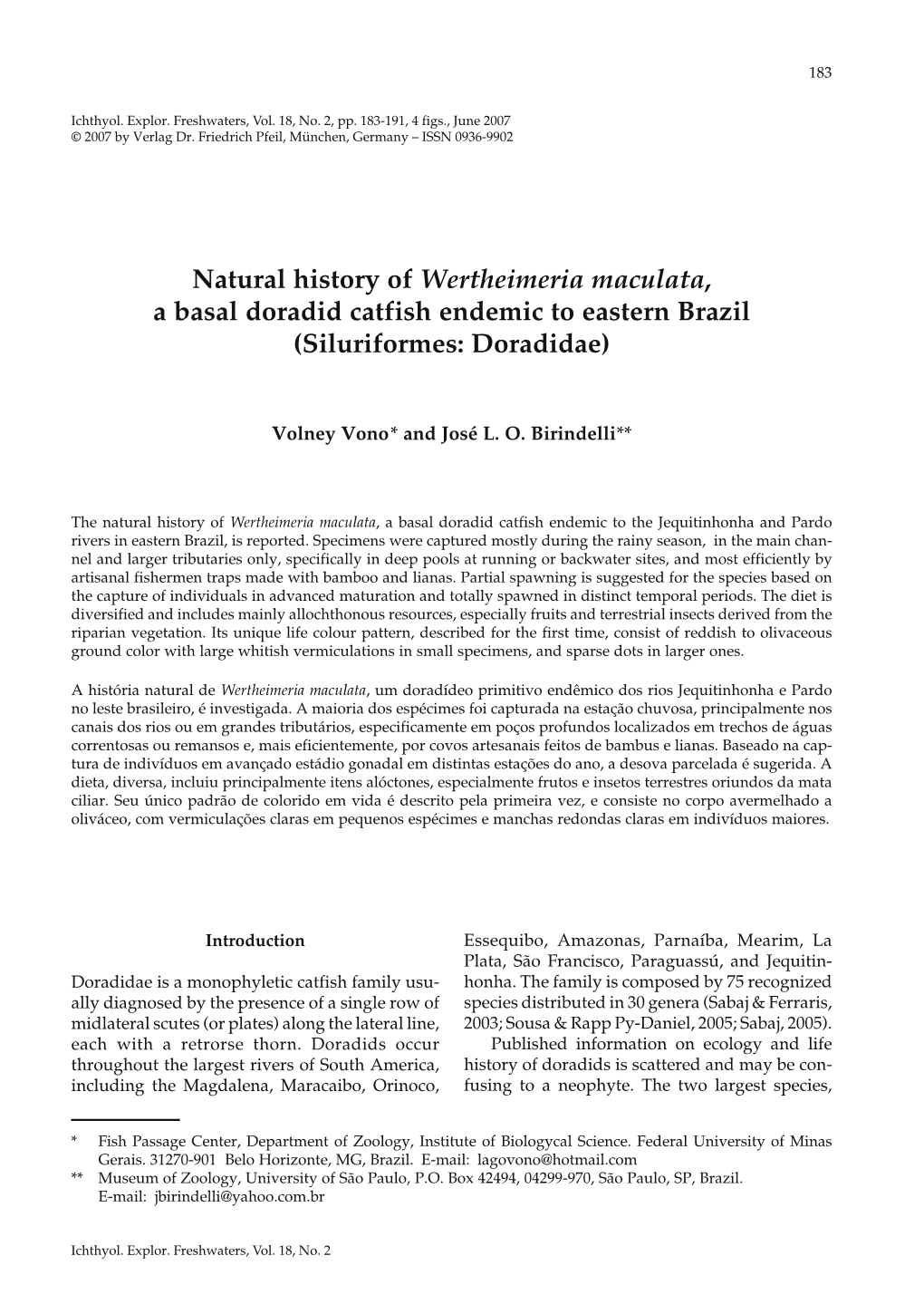 Natural History of Wertheimeria Maculata, a Basal Doradid Catfish Endemic to Eastern Brazil (Siluriformes: Doradidae)