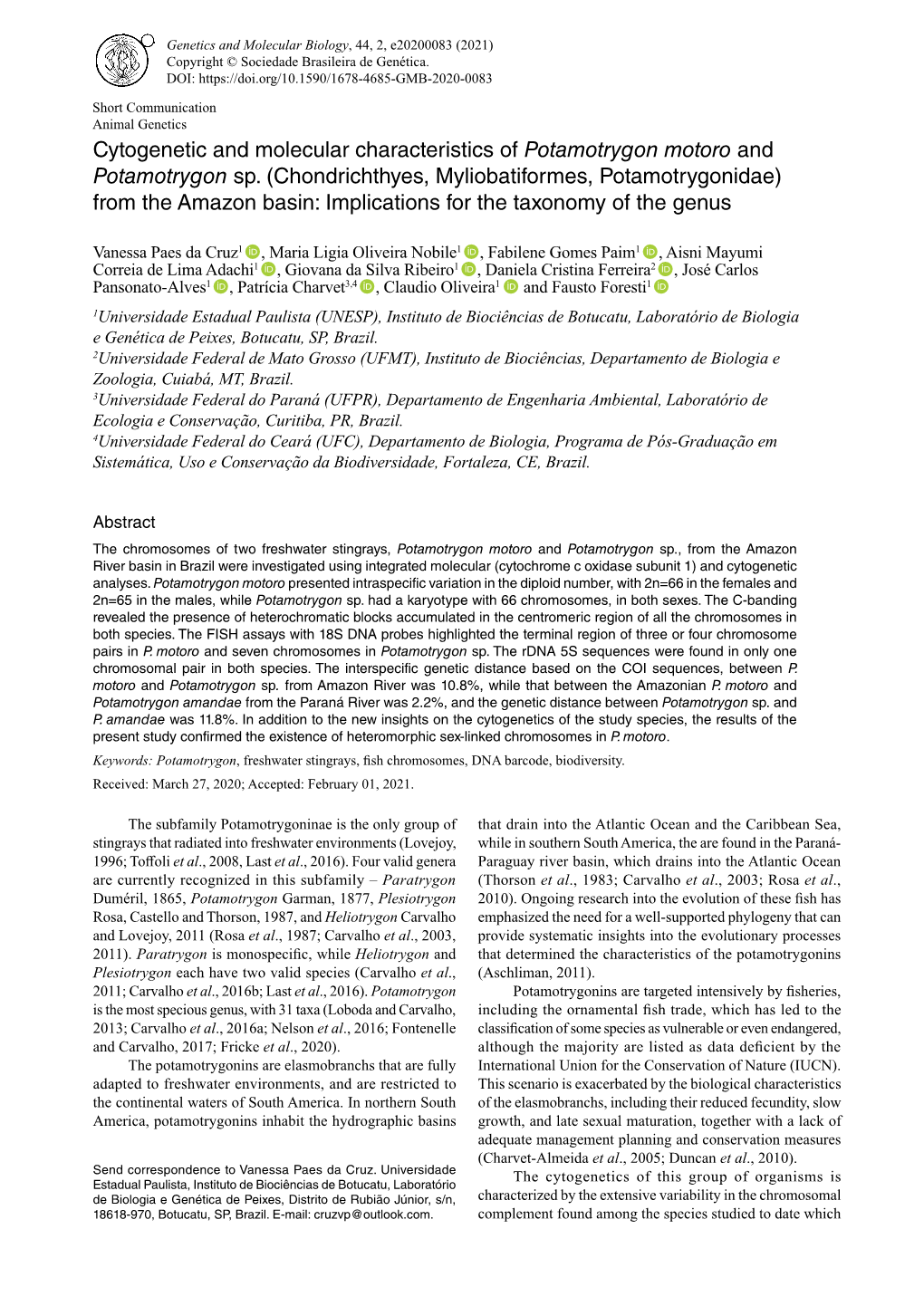 Cytogenetic and Molecular Characteristics of Potamotrygon Motoro and Potamotrygon Sp