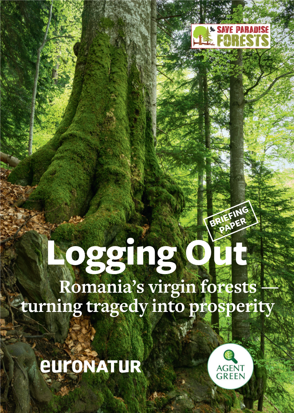 Romania's Virgin Forests