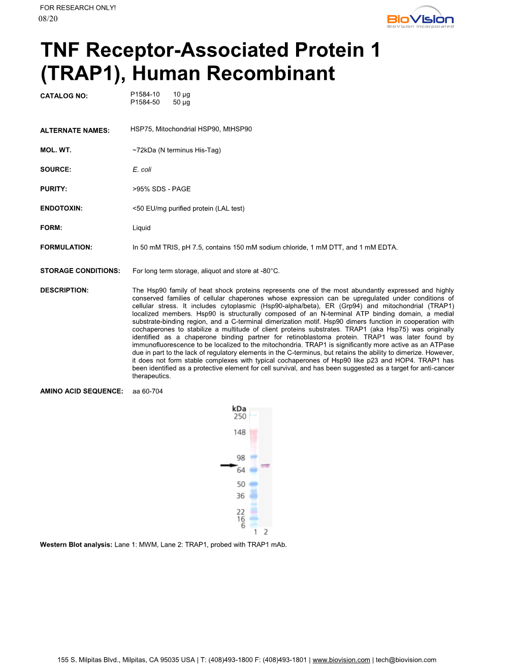 TNF Receptor-Associated Protein 1 (TRAP1), Human Recombinant