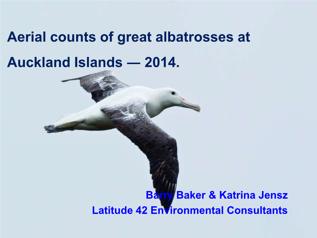 Aerial Counts of Great Albatrosses at the Auckland Islands