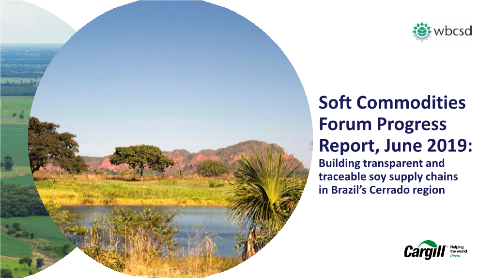 Soft Commodities Forum Progress Report, June 2019: Building Transparent and Traceable Soy Supply Chains in Brazil’S Cerrado Region About the Soft Commodities Forum