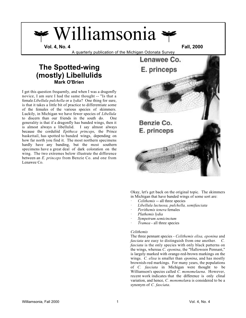 Williamsonia Vol