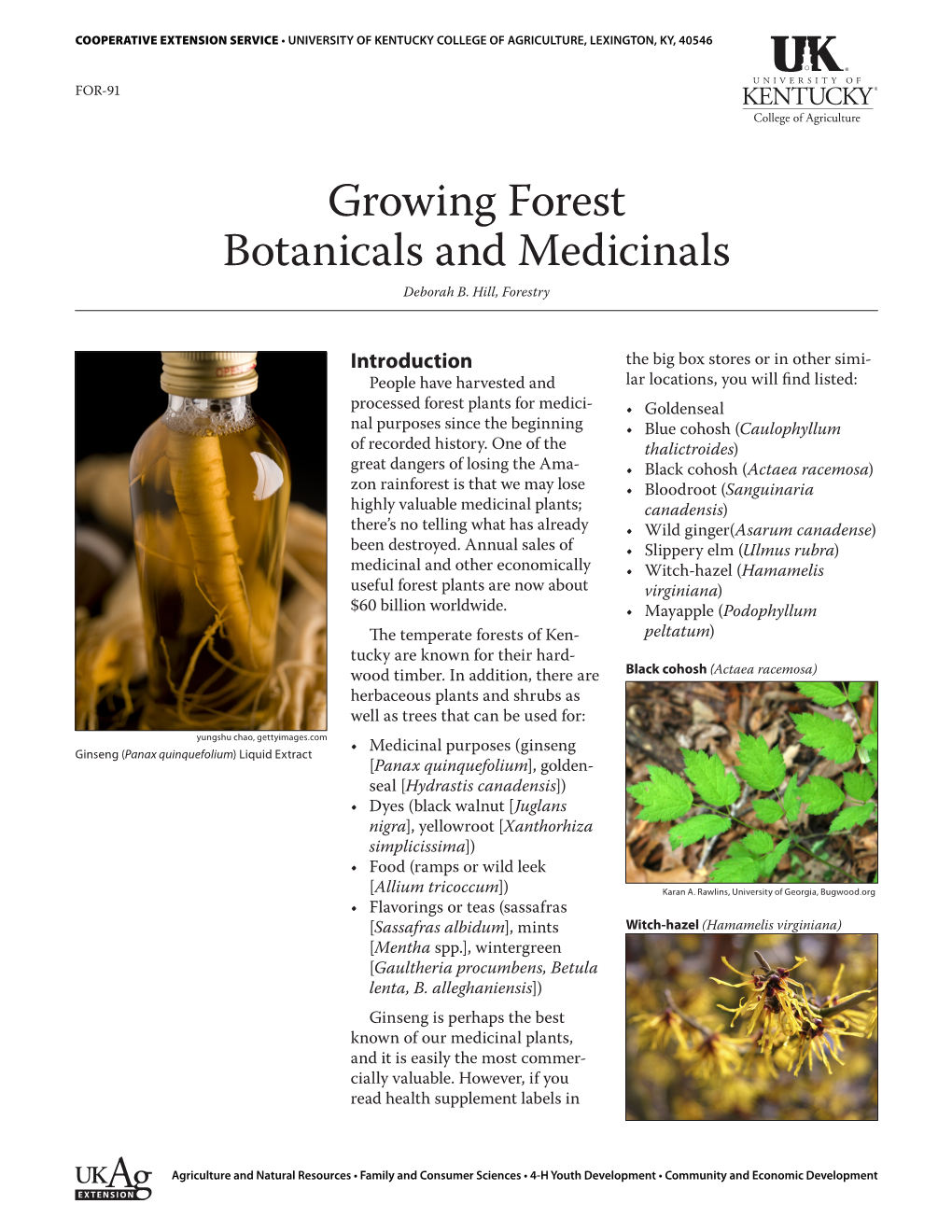 Growing Forest Botanicals and Medicinals Deborah B