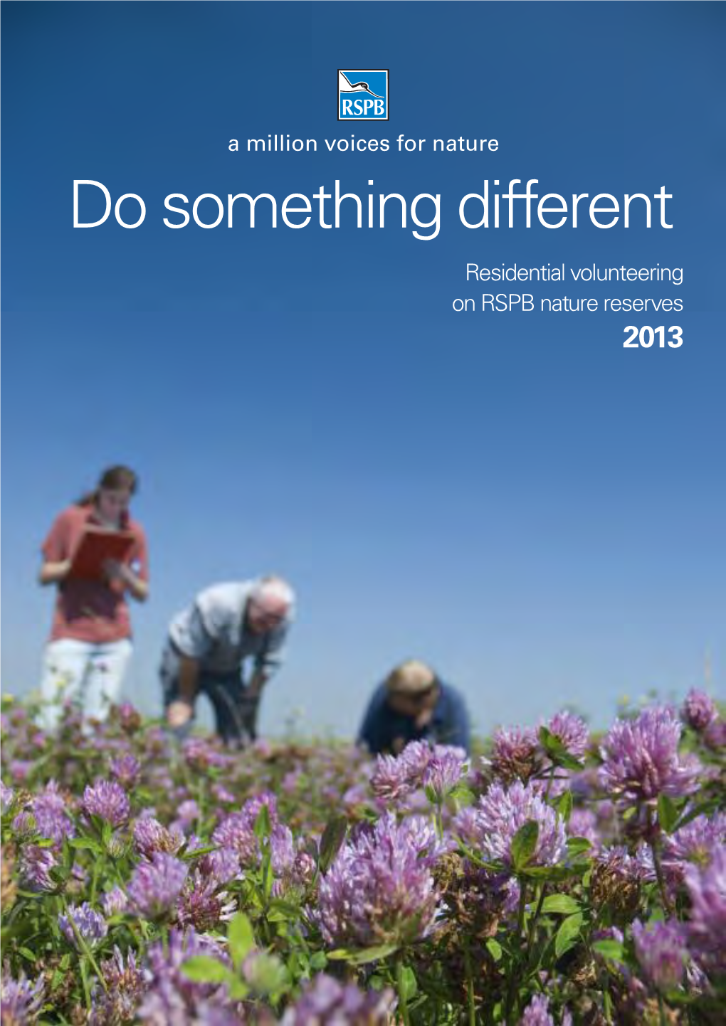 2013 Residential Volunteering Brochure