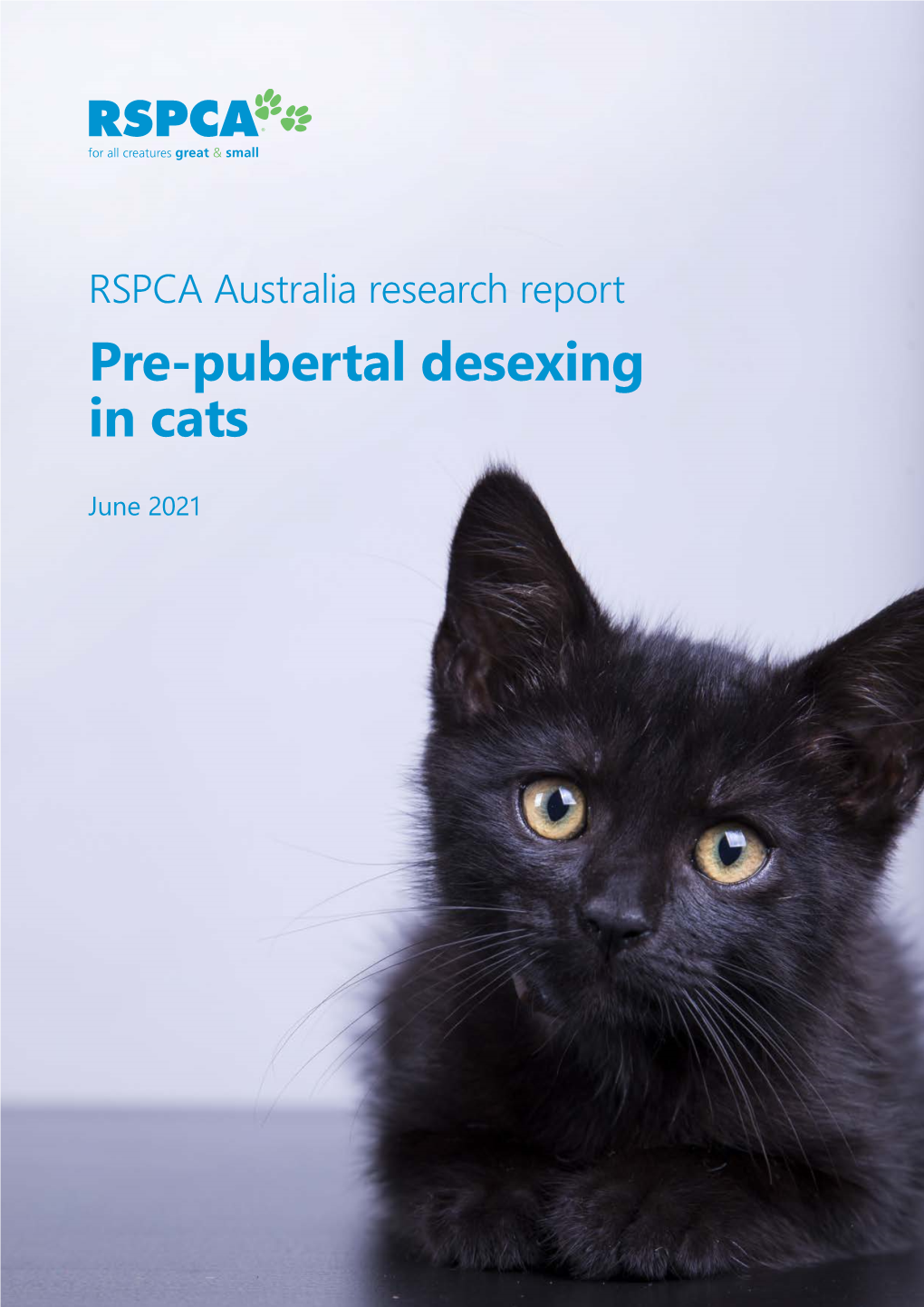 RSPCA Australia Research Report | Pre-Pubertal Desexing in Cats | June 2021 5 Recommendation 4