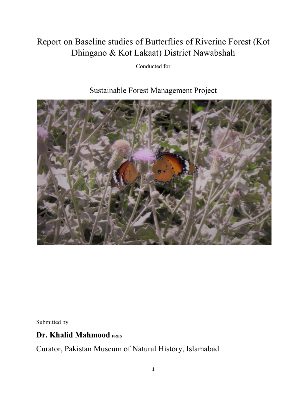 Report on Baseline Studies of Butterflies of Riverine Forest (Kot Dhingano & Kot Lakaat) District Nawabshah Conducted For