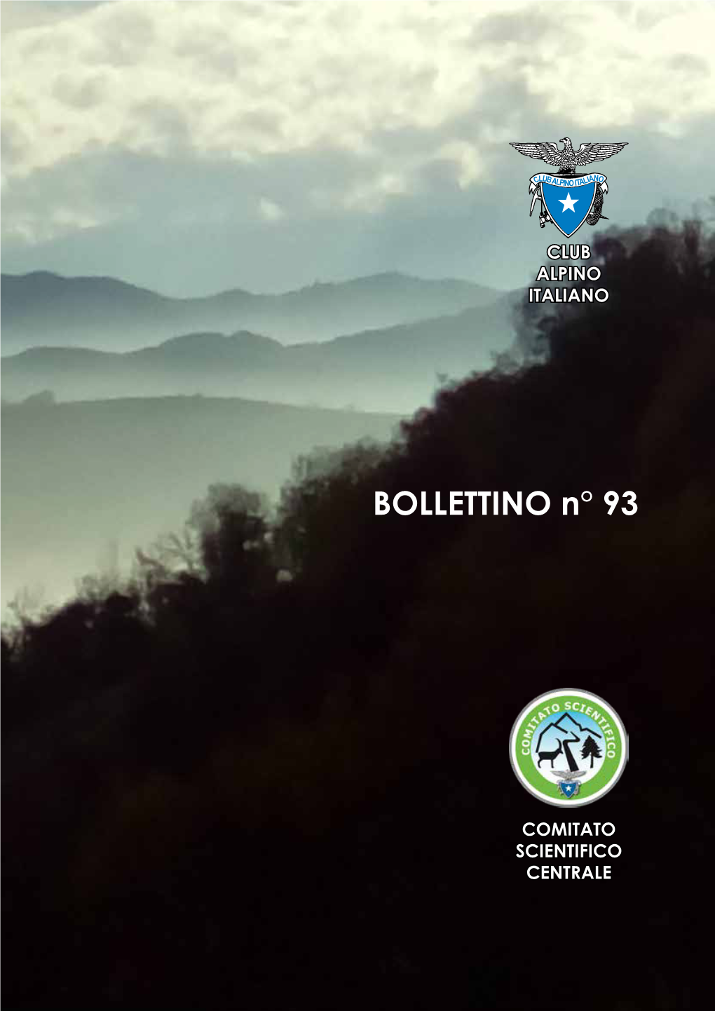 BOLLETTINO N° 93