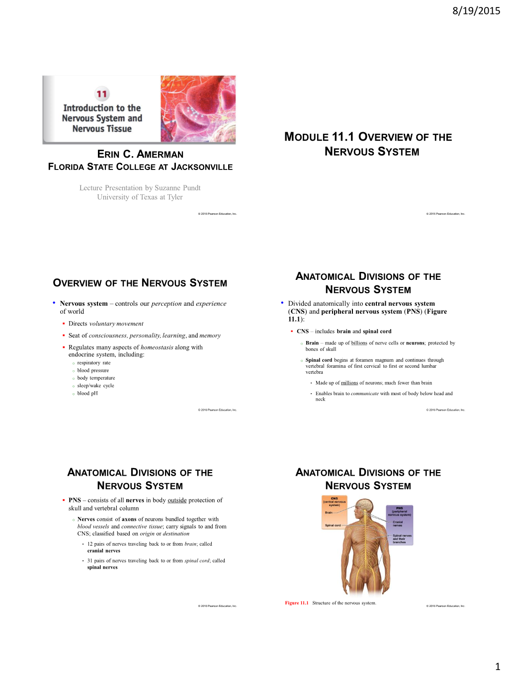 Module 11.1 Overview of the Nervous System