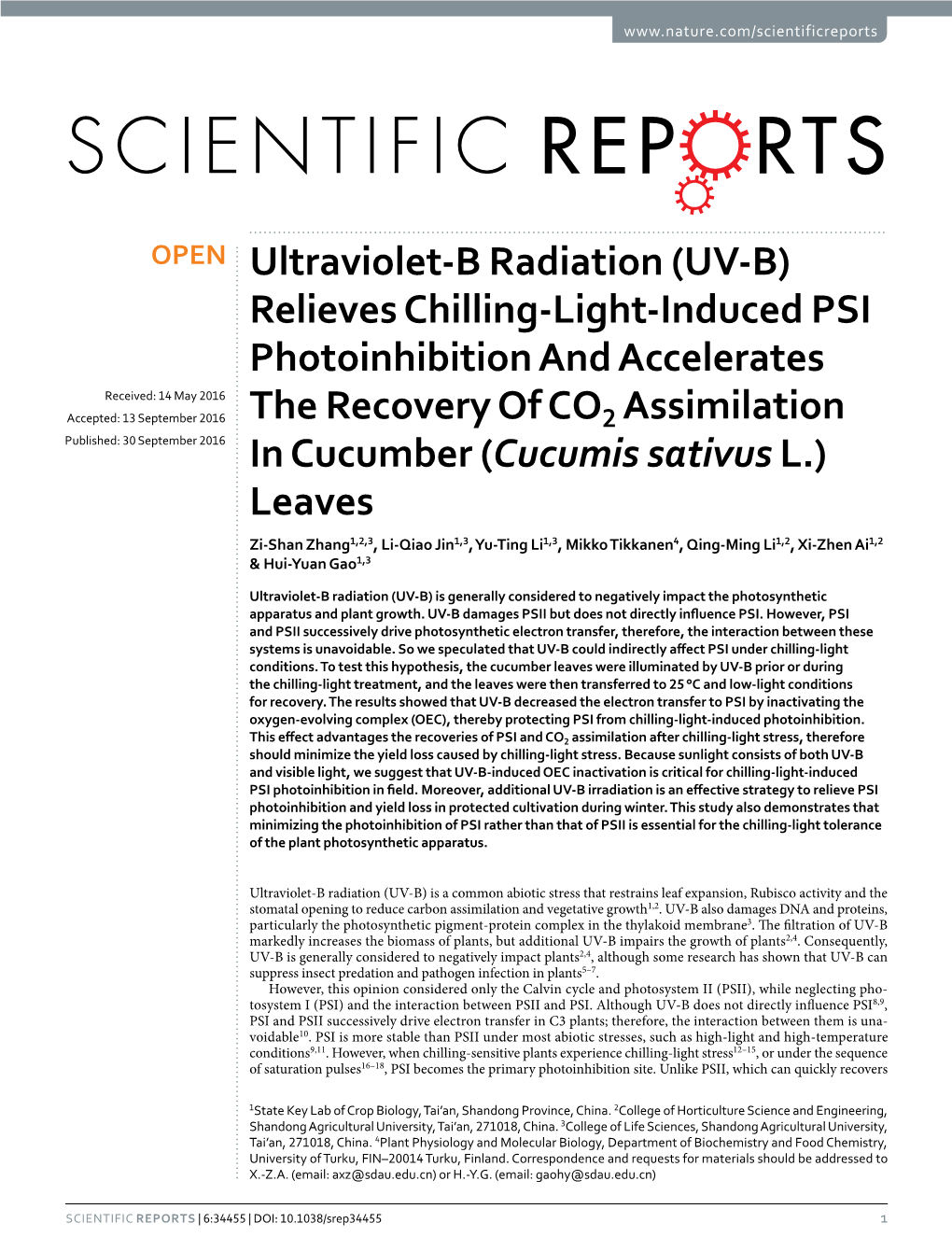 Relieves Chilling-Light-Induced PSI Photoinhibition and Accelerates