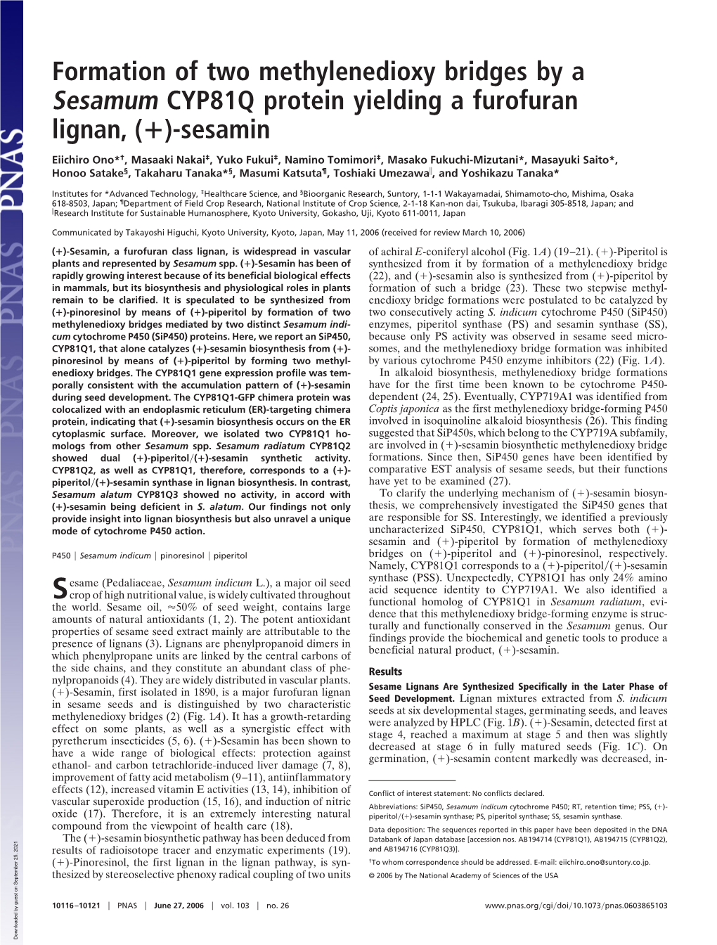 Formation of Two Methylenedioxy Bridges by a Sesamum CYP81Q Protein Yielding a Furofuran Lignan, (+)-Sesamin