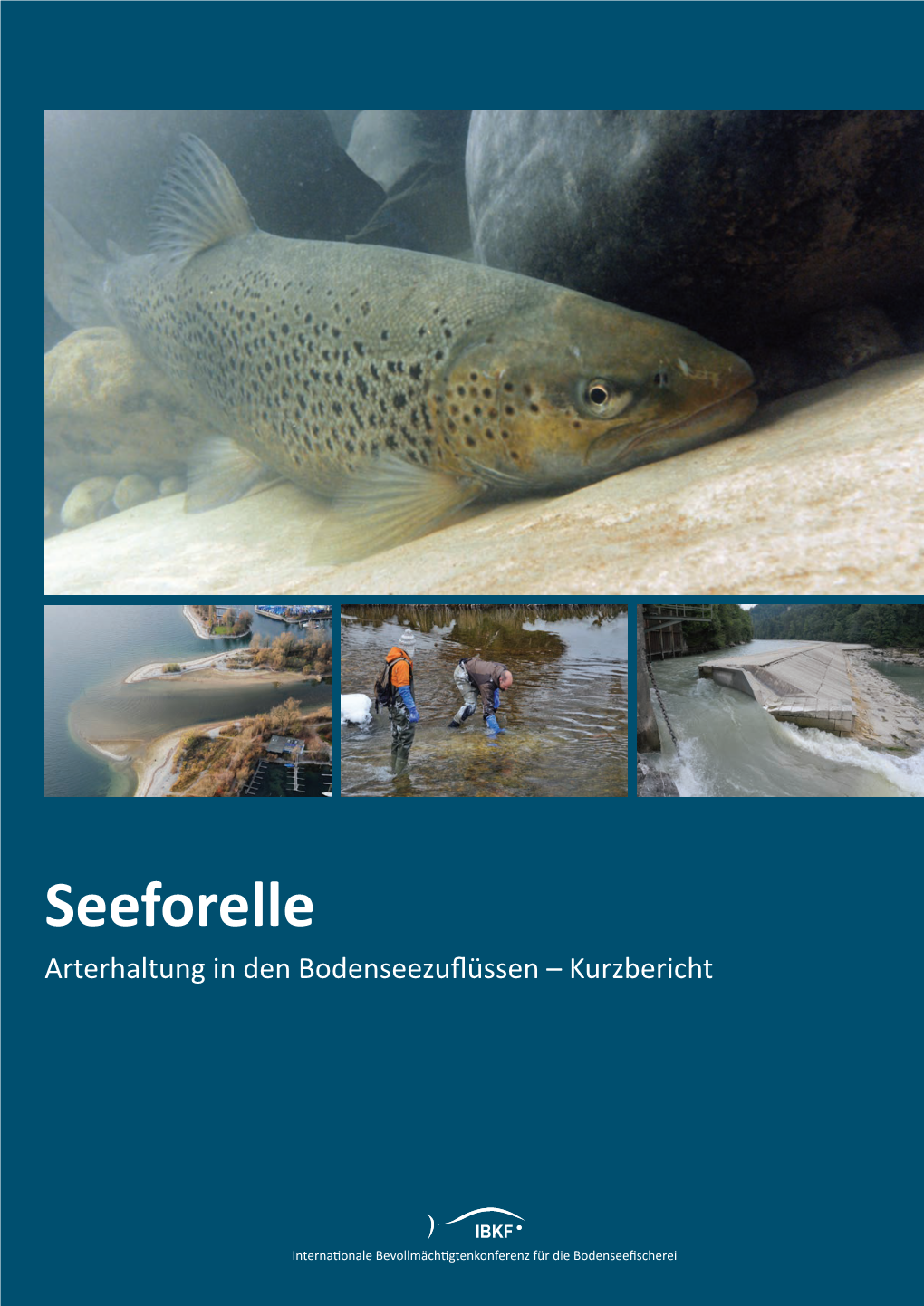Seeforelle Arterhaltung in Den Bodenseezuflüssen – Kurzbericht