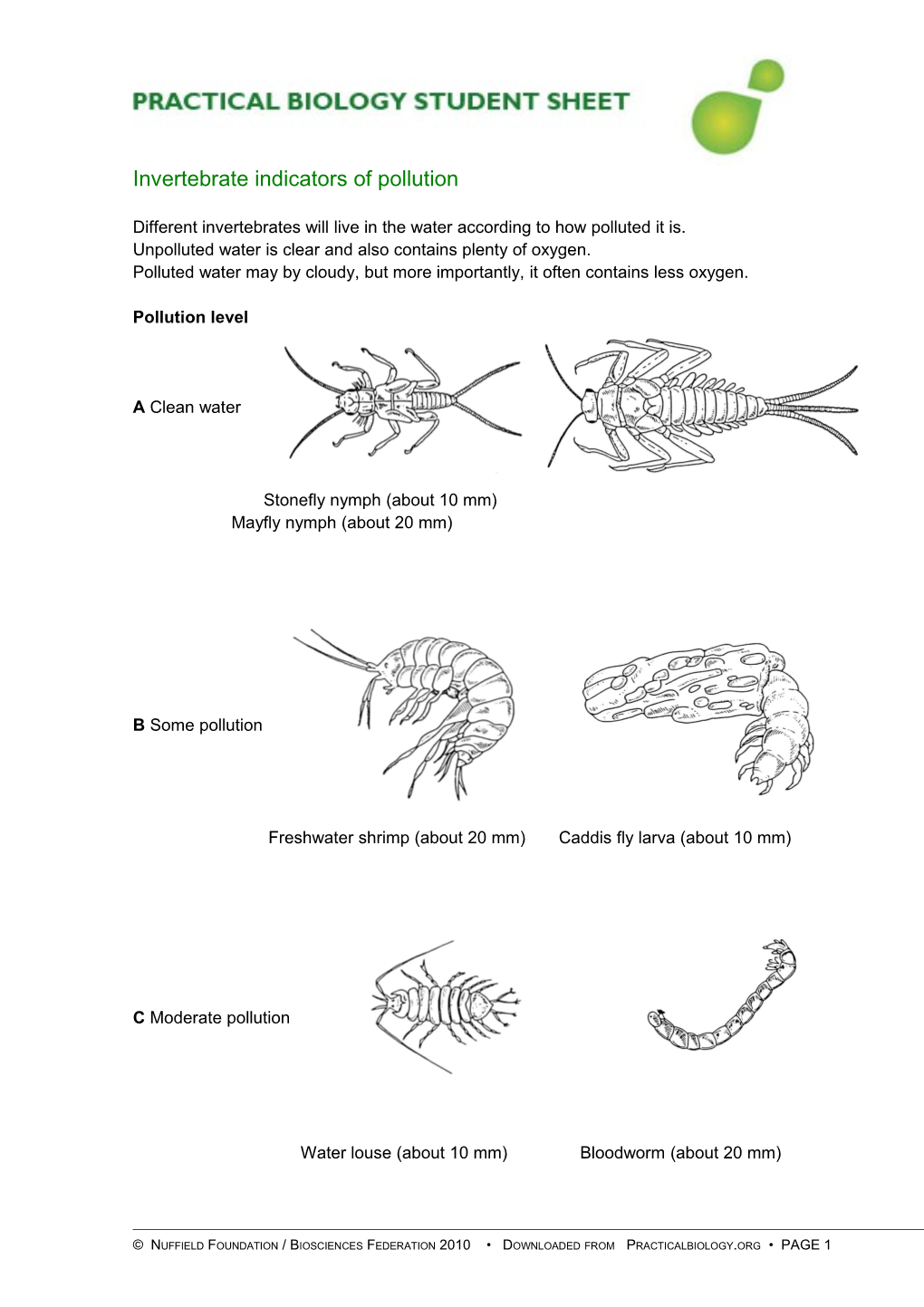 Different Invertebrates Will Live in the Water According to How Polluted It Is