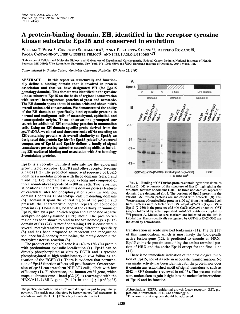 A Protein-Binding Domain, EH, Identified Inthe Receptor Tyrosine