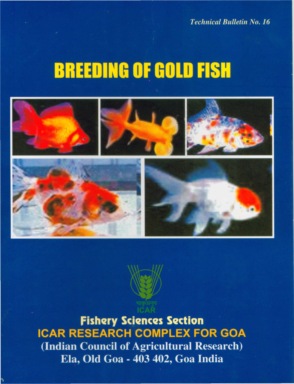 Breeding of Gold Fish