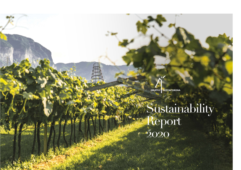 Sustainability Report 2020 Presentation by the President of Gruppo Mezzacorona