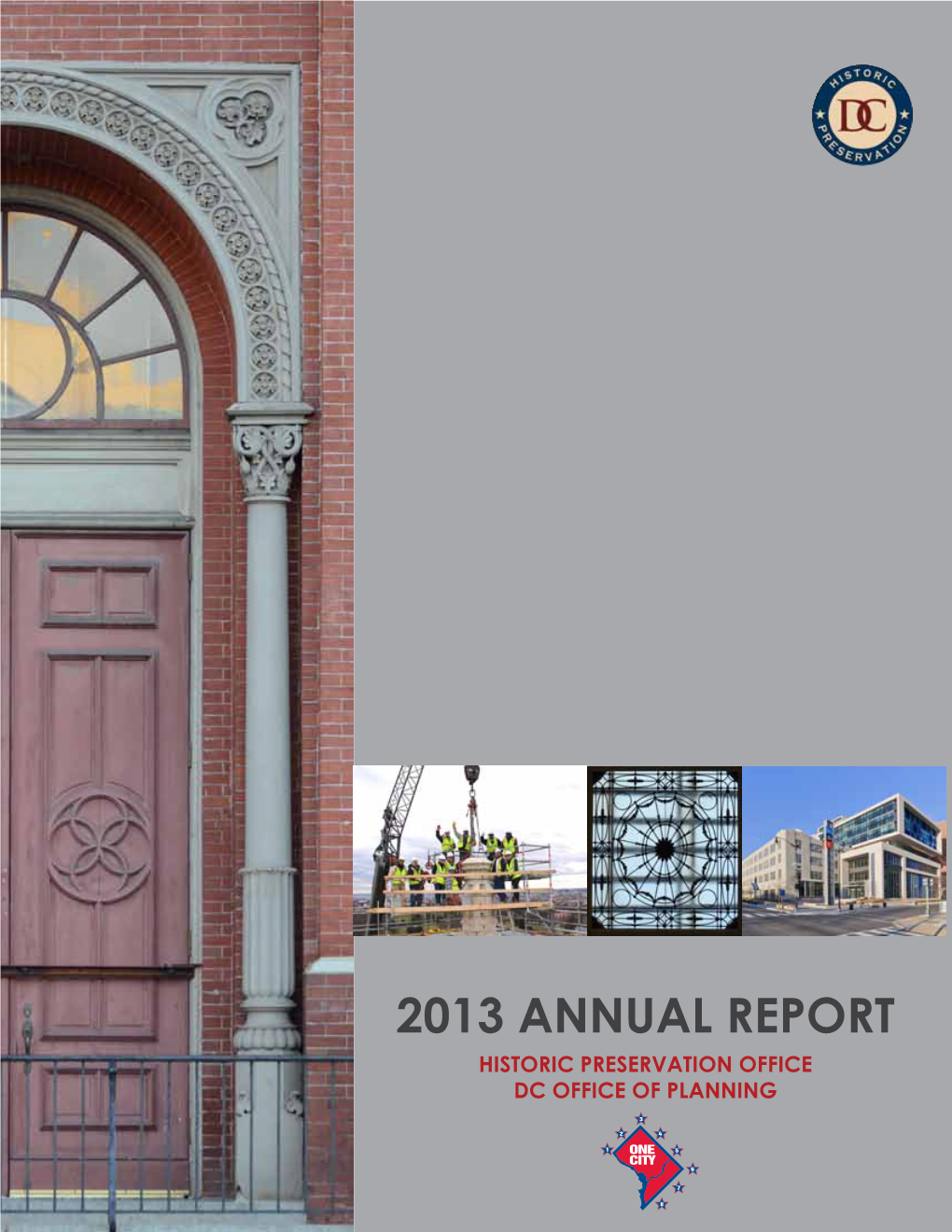 2013 Annual Report