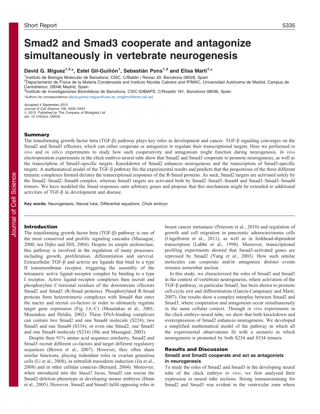 Smad2 and Smad3 Cooperate and Antagonize Simultaneously In