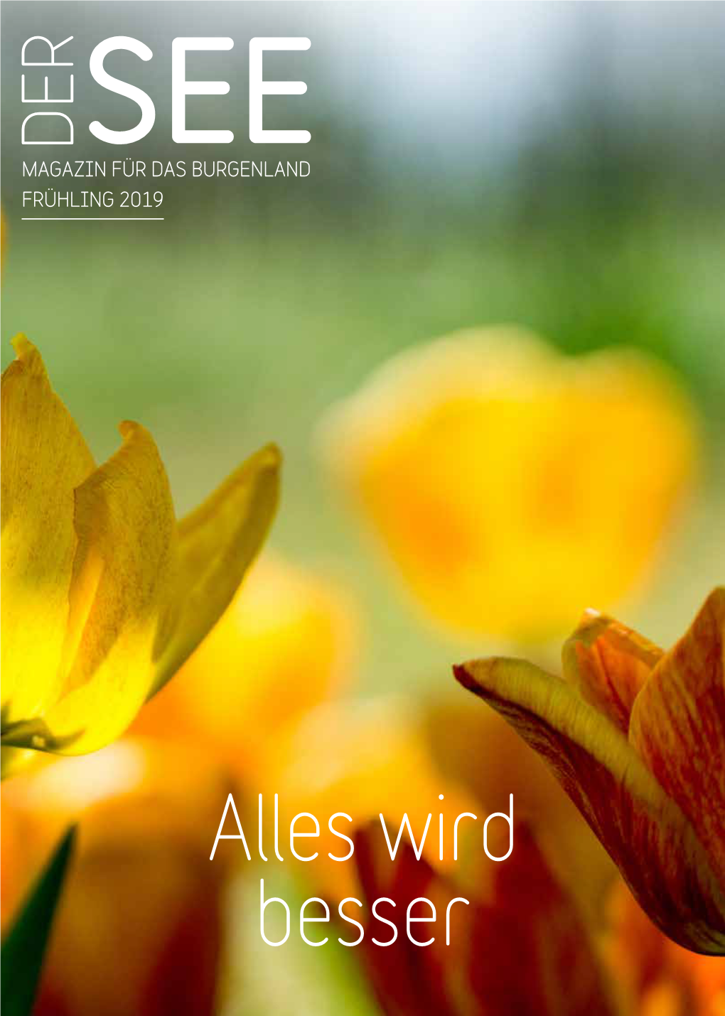 Magazin Für Das Burgenland Frühling 2019