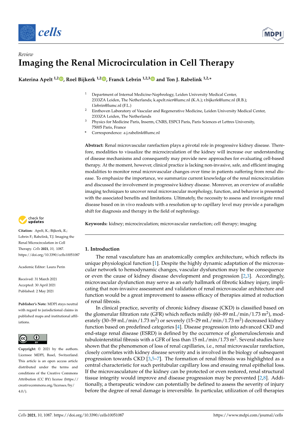 Imaging the Renal Microcirculation in Cell Therapy