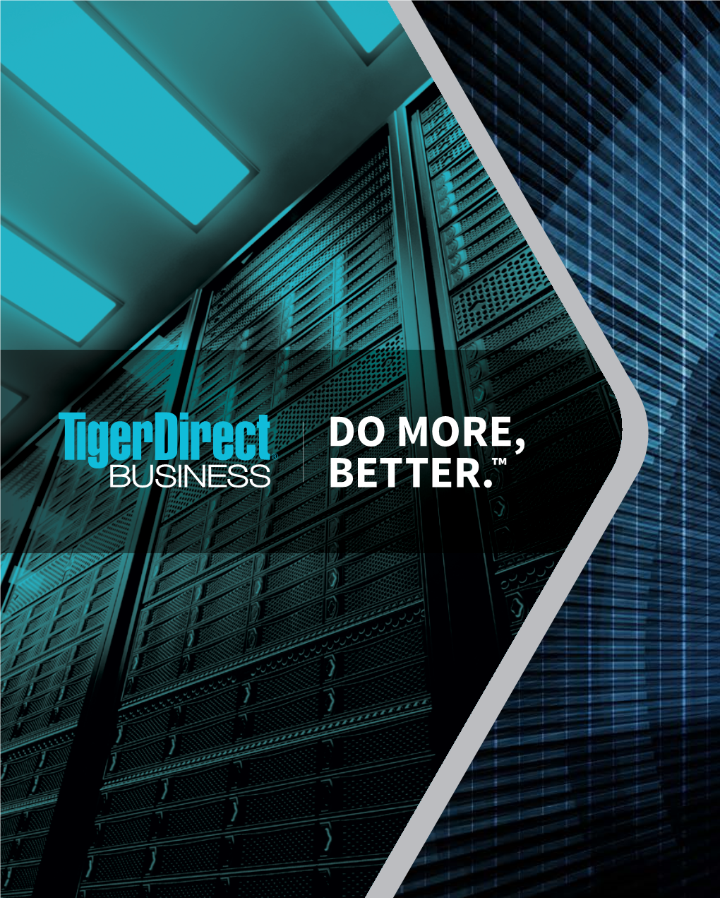 Tigerdirect Business?