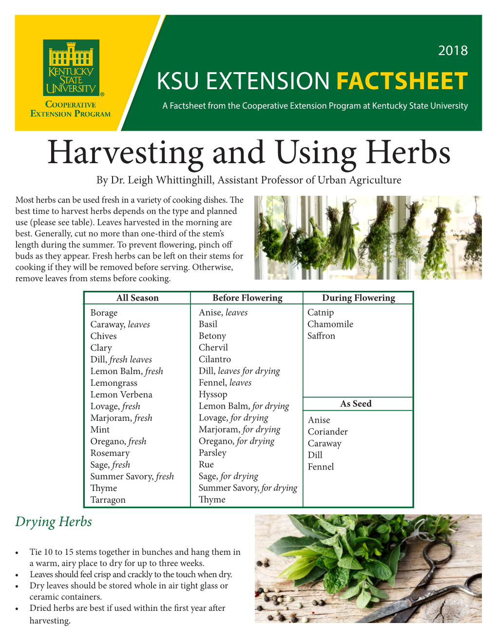 Harvesting and Using Herbs by Dr