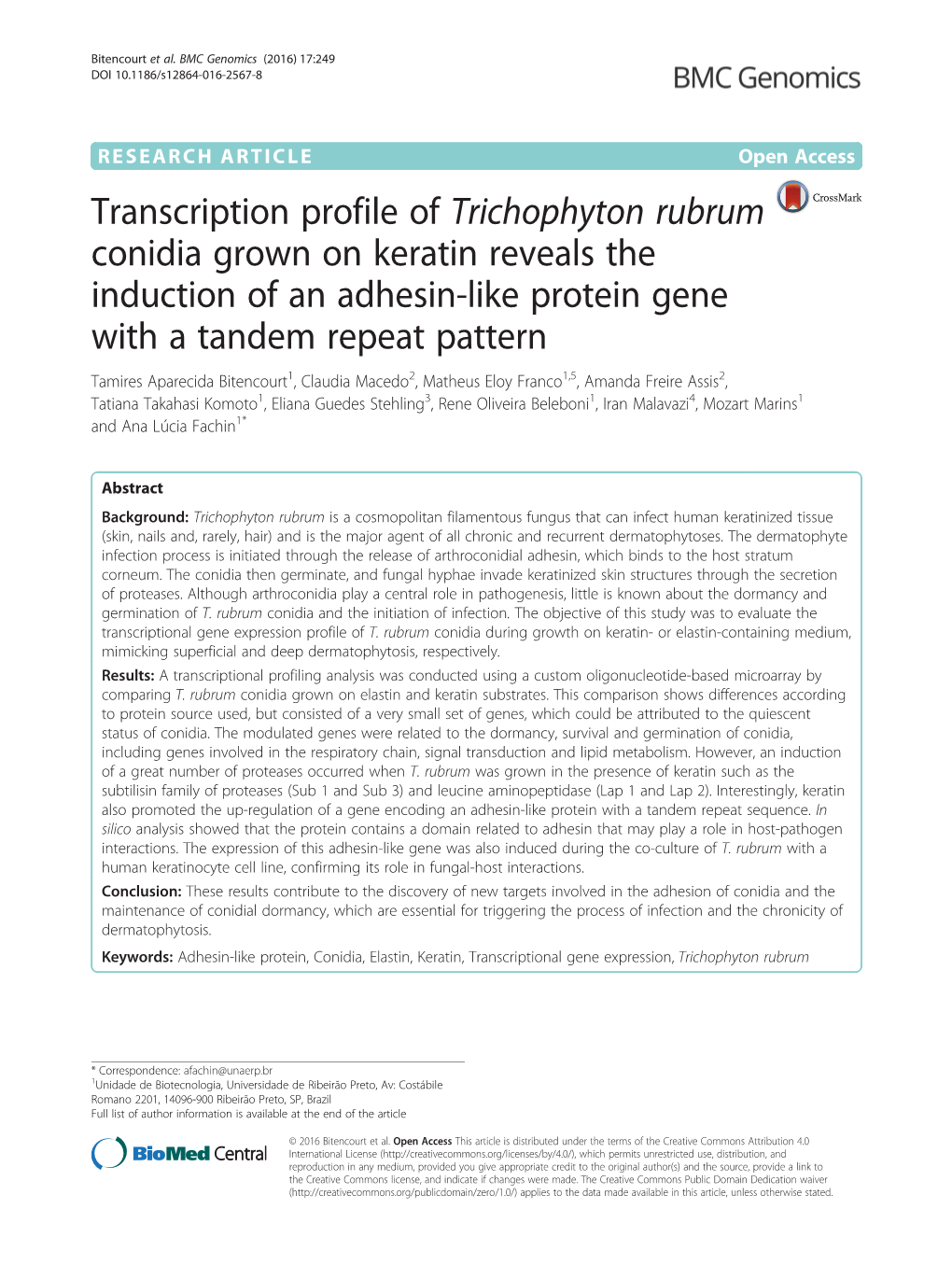 Transcription Profile of Trichophyton Rubrum Conidia Grown on Keratin