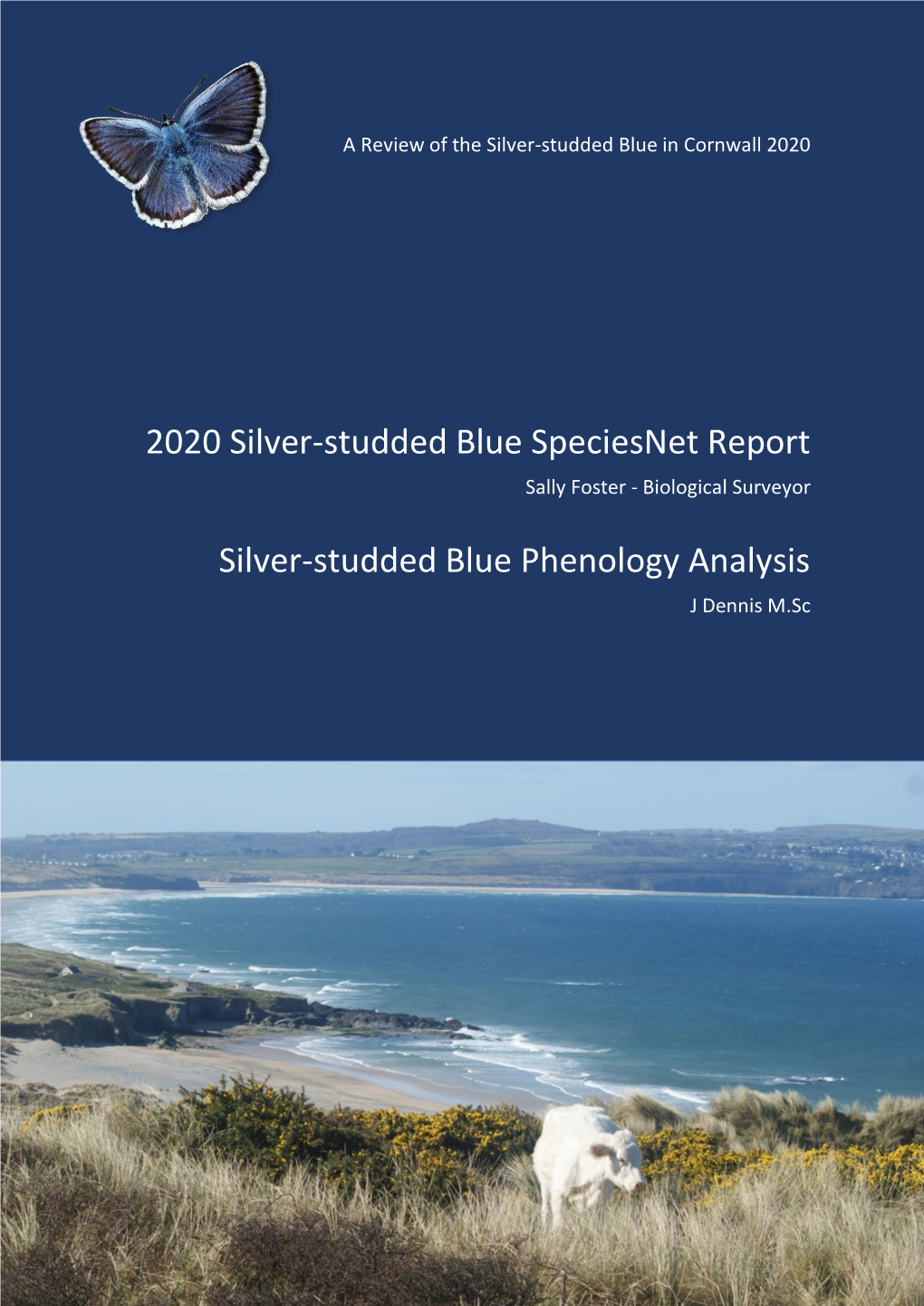 2020 Silver-Studded Blue Speciesnet Report Sally Foster - Biological Surveyor