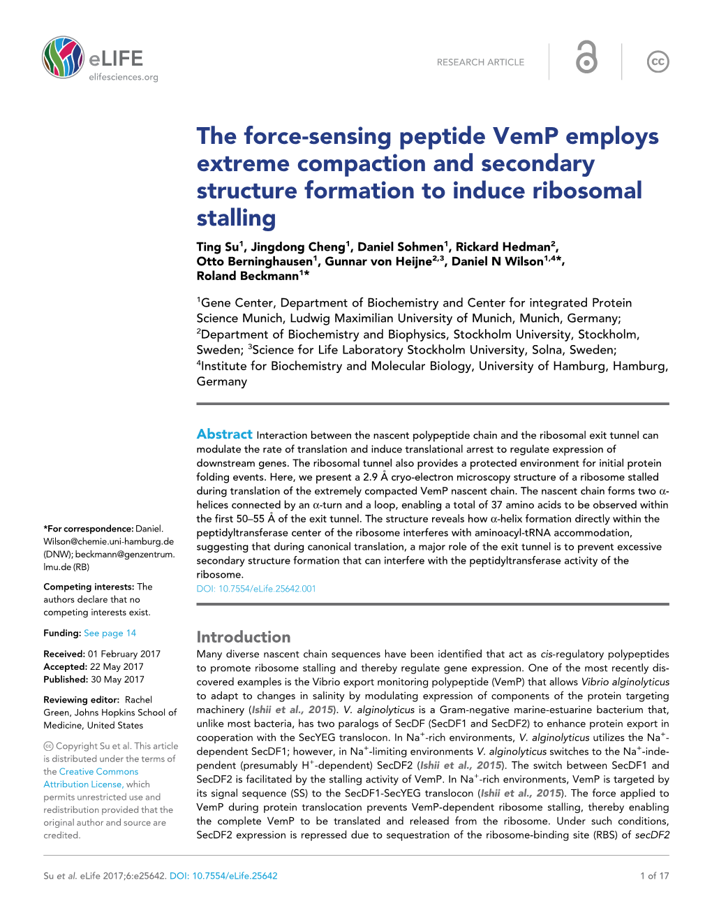 The Force-Sensing Peptide Vemp Employs Extreme Compaction And