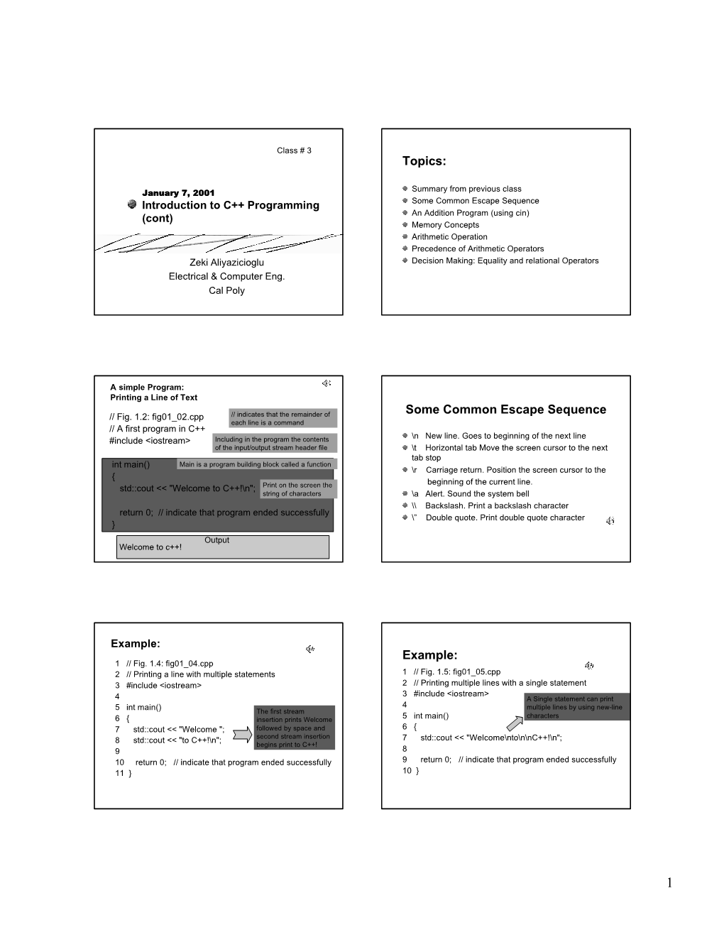 Some Common Escape Sequence Example