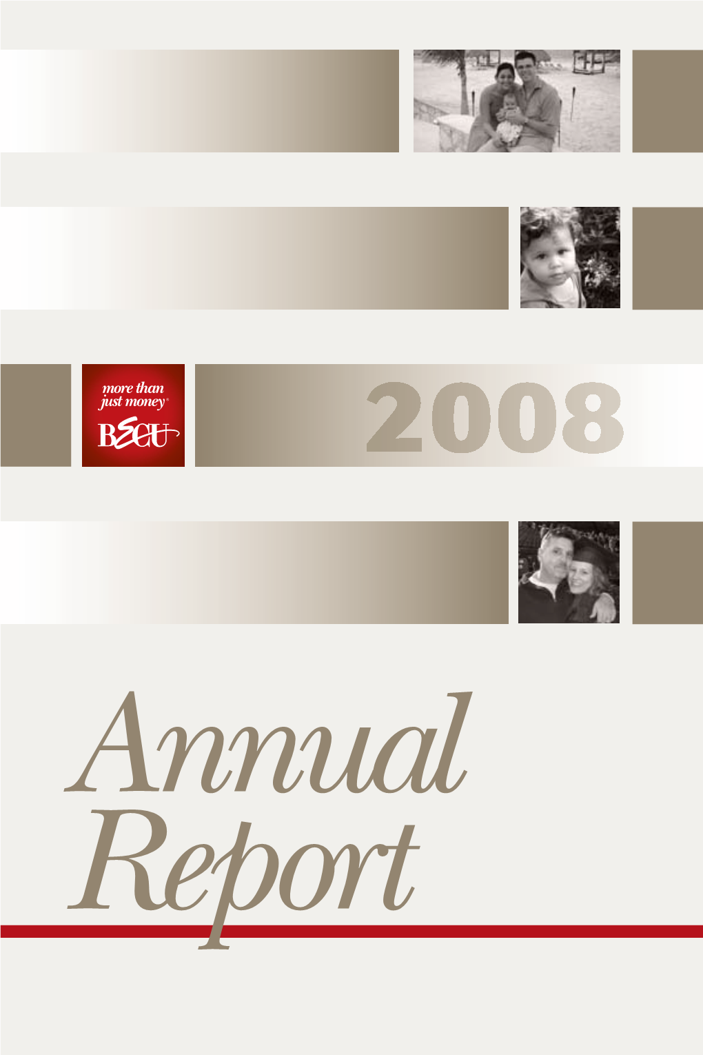 2008 Annual Report