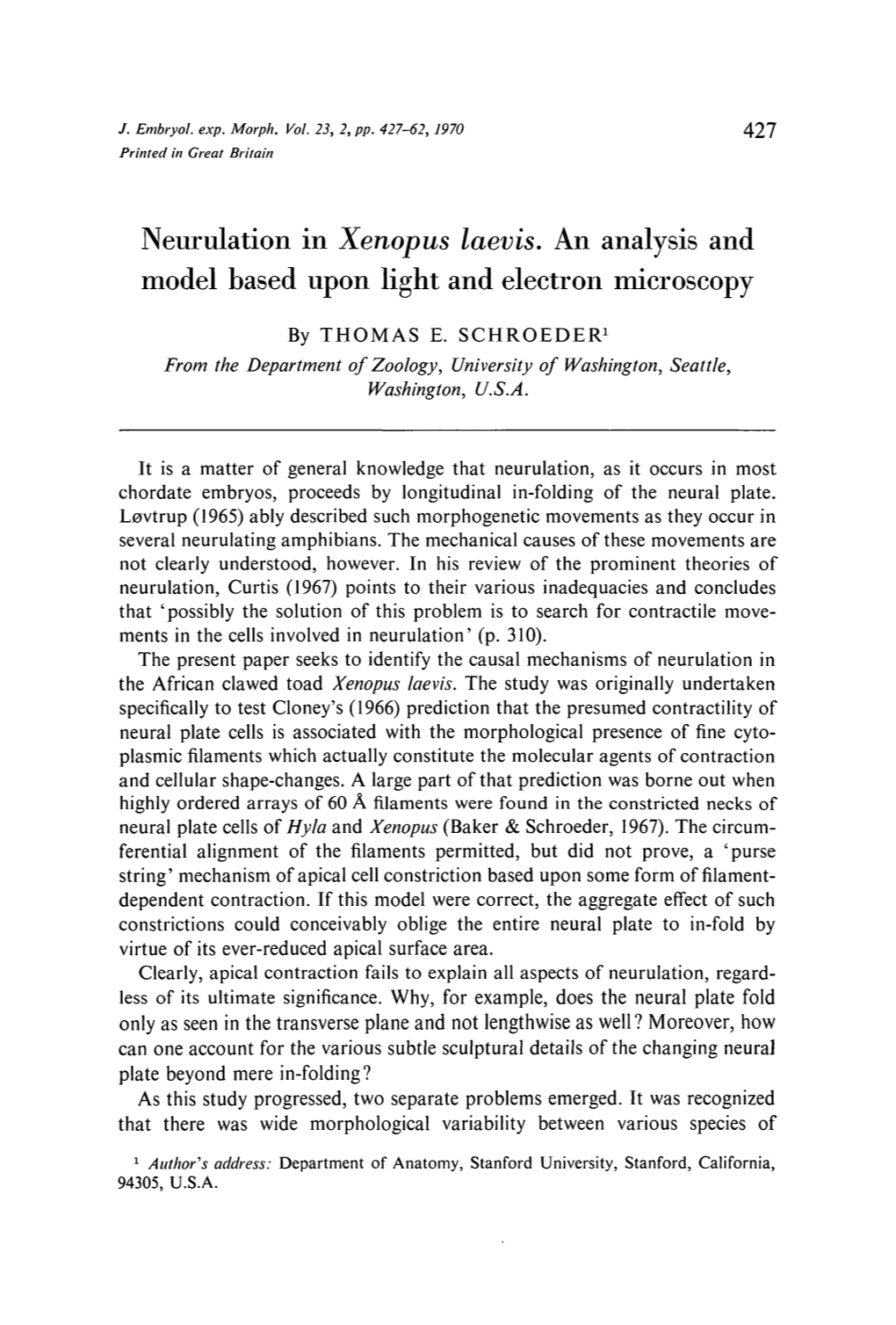 Neurulation in Xenopus Laevis. an Analysis and Model Based Upon Light and Electron Microscopy