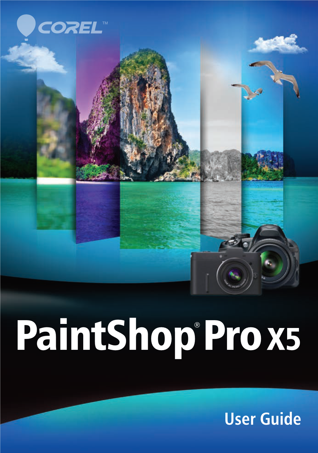 Paintshop Pro X5 User Guide Adjusting Brightness, Contrast, and Clarity