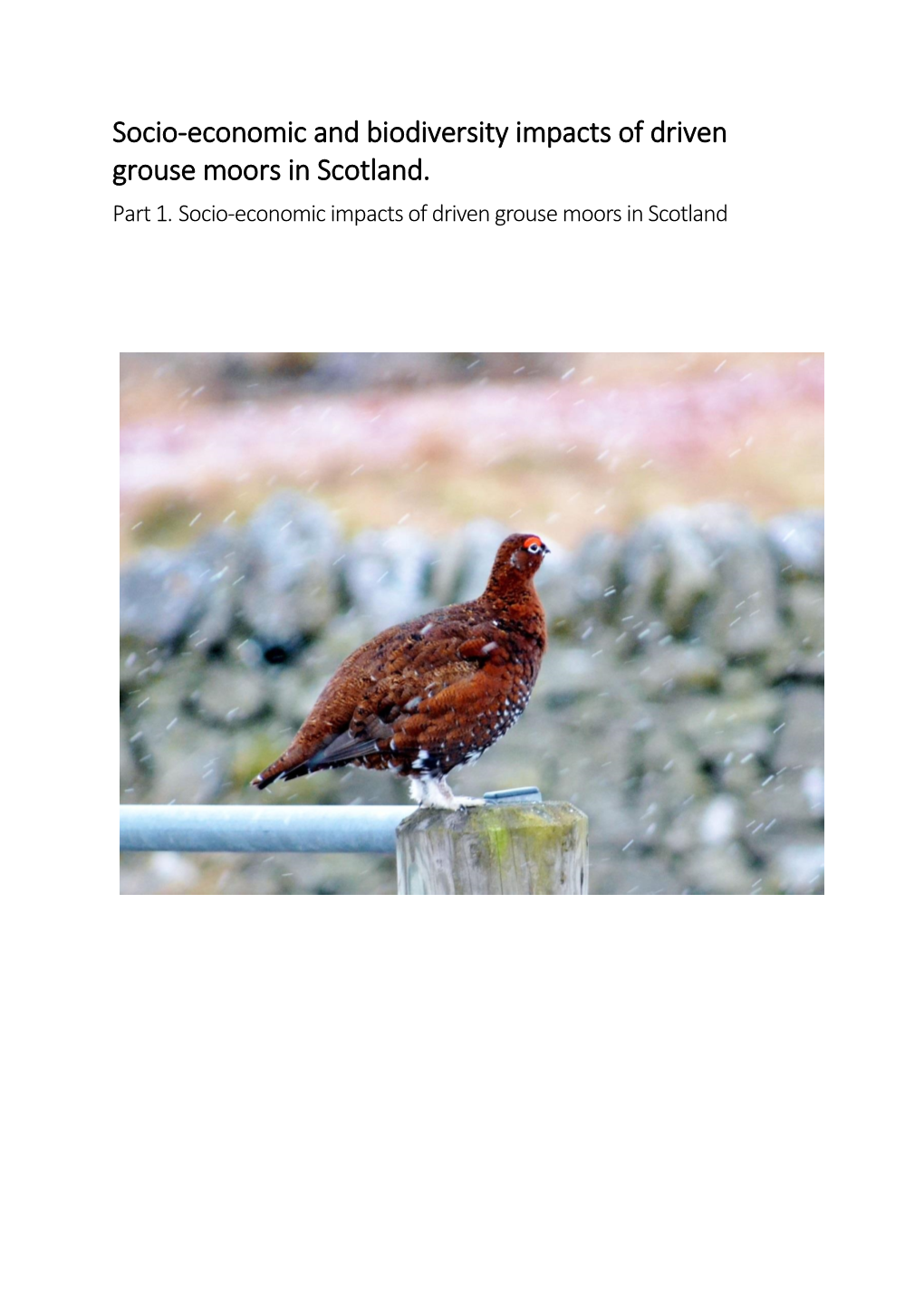 Socio-Economic Impacts of Driven Grouse Moors in Scotland