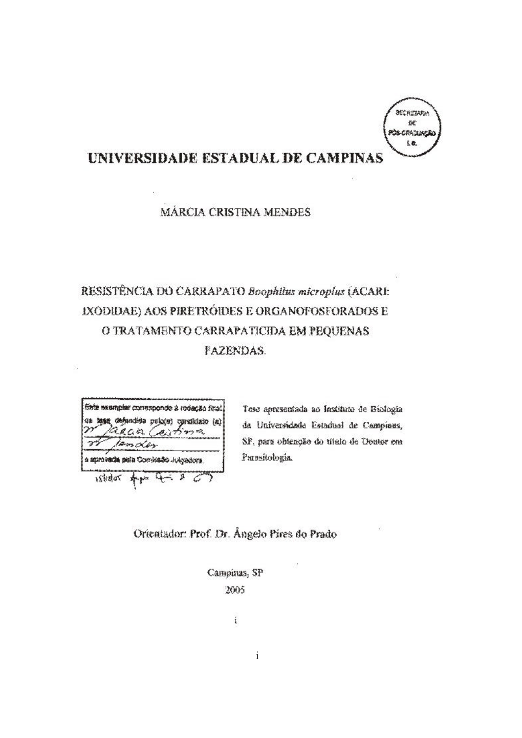 Mendes Marciacristina D.Pdf