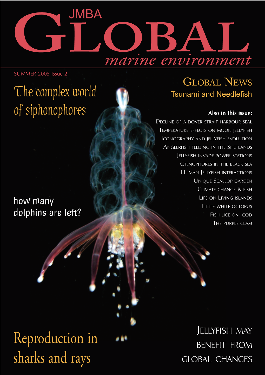 Marine Environment SUMMER 2005 Issue 2 GLOBAL NEWS the Complex World Tsunami and Needlefish