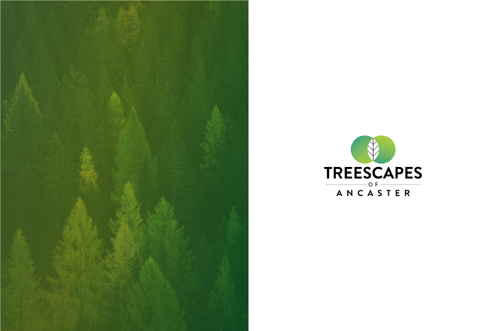 Treescapes: Brochure