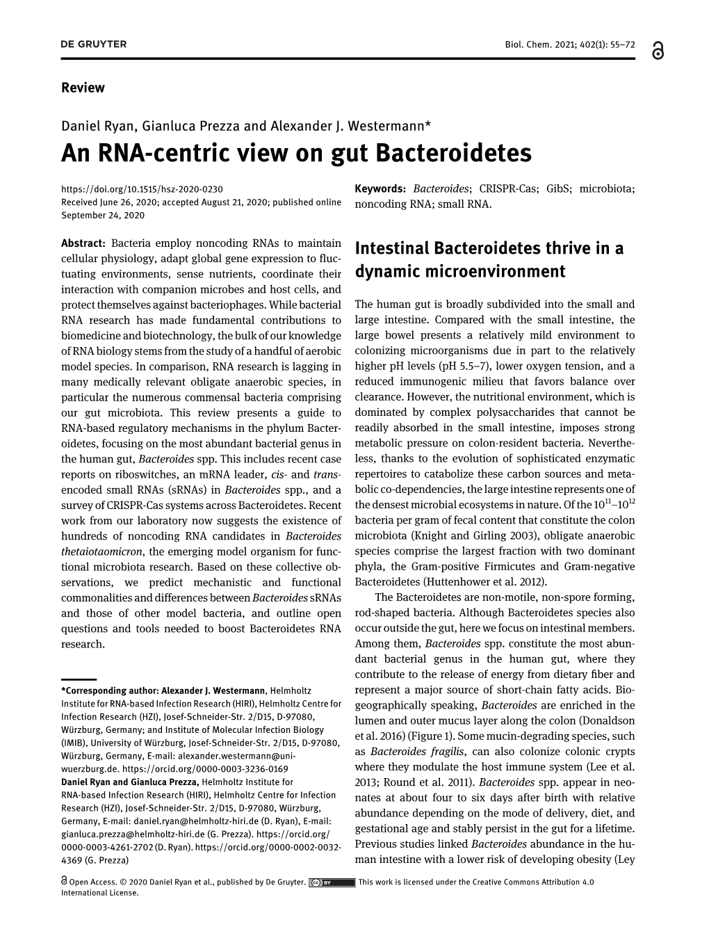 An RNA-Centric View on Gut Bacteroidetes